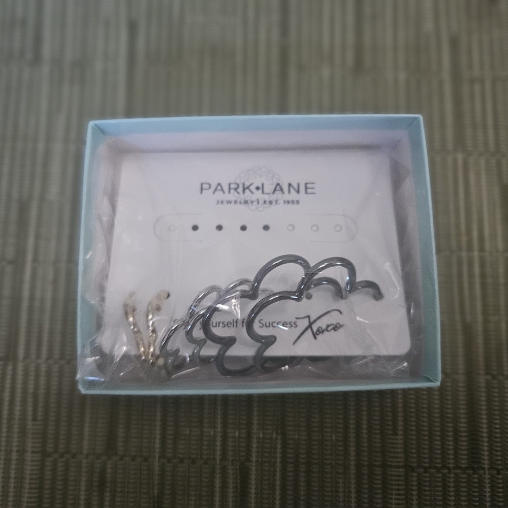 Park Lane Carmelia Silver, Black,  and Good Earring Set